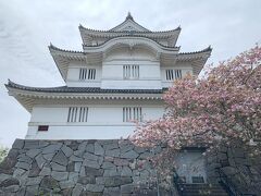 天守は 昭和50年に造られた復元天守で
「千葉県立中央博物館大多喜城分館」となってます
改修中のため長期休館中でした