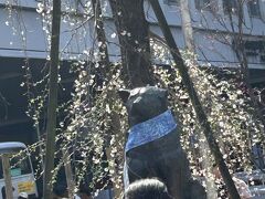 ハチ公前には近づけそうもないので、遠くから撮影。