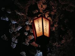 1830分から観音寺川の夜桜