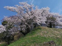 亀ヶ城跡