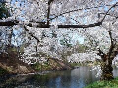 弘前公園 (弘前城)