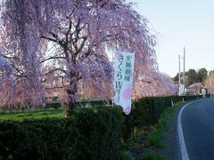 根城