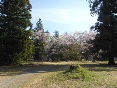 本丸跡に到着です。大規模な縄張です。
滅亡の寸前になってこんな大規模な城を築いてすぐに廃棄して。
残念なことです。
新府城は続日本100名城の第127城です。