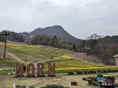 本当は谷川岳ロープウェイに乗りたかったのですが、なんと！営業は翌日から・・((+_+))
急遽検索してヒットしたのが、ノルンみなかみフラワーガーデンです。
スキー場ですがオフシーズンはフラワーガーデンになるようです。
