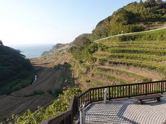 田島神社に参拝したあと、玄海町の「浜野浦の棚田」へ。展望台からは海も見えました。