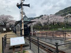 山北駅に寄ってみました。公園には蒸気機関車が展示され、桜祭りが行われていました。