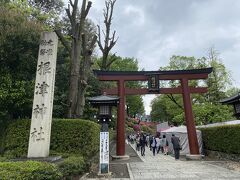 駅から10分弱で根津神社に到着。
奥にツツジが見えます。