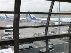 旅の始まりは羽田空港から。
JALのマイルを貯めているのでいつもは第一ターミナル。
ソラシドエアは第二ターミナル。
いつもと違って新鮮。
ANAの飛行機が並んでいます。