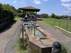 桜島溶岩なぎさ公園までお散歩。
全長100mの長い足湯があります。