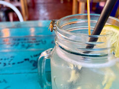 昼食は以前利用したことのある Tacopado へ。レモネードが運ばれてくるとすぐにミツバチが。