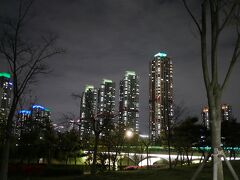 カフェの後は、近くにある青羅（チョンラ）湖水公園に来ました。

ここは夜景がものすごく綺麗だなと思いました。