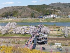 しばた千桜橋