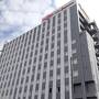 三度目の正直・白石川堤一目千本桜2024