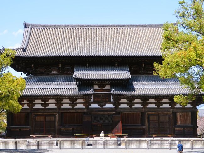 京都-2 東寺2/5 金堂/薬師三尊 講堂/立体曼荼羅 拝観 ☆堂内静寂