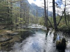 岳沢湿原も綺麗でした。

ほど良い登山と温泉と上高地散策の3つを叶えたくて計画した今回の旅行。

乗鞍岳登山は往復3時間弱でほど良く、温泉貸切でコスパの良いペンションに泊まり、上高地では久々の岩魚を堪能し、大満足の旅となりました。

また、こういう旅が出来るようにリハビリ頑張ります！