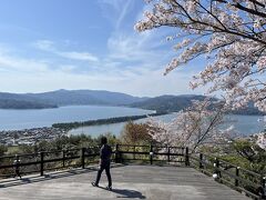 到着！
こちらでも桜と天橋立のコラボです。