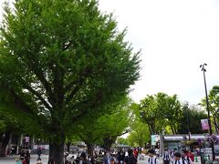 一日目午後
両国から上野へやってきました。東京芸術大学美術館の　吉原展　をまずは観に行こう!
水曜日の午後賑わってました。外国の方々に修学旅行の高校生もたくさん。