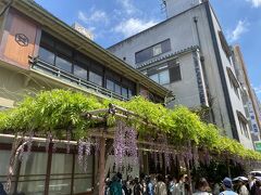 さらに歩を進めるとなにやら行列が。
藤棚もきれいですが、ここは船橋屋というお店。
くず餅発祥のお店で1805年に創業した老舗だそうです。