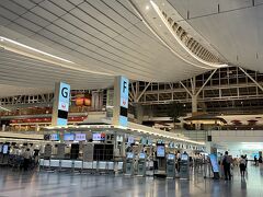 夜中の羽田空港に着きました。
チェックインカウンターに並んでいる人は少なめですが
夜中なので職員さんが少ないのでしょうか出発ゲートはまあまあ混んでいました。
