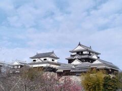 松山城 全景