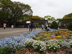 広すぎる昭和記念公園のチューリップは西立川駅からのアクセスが便利
