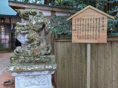 石浦神社拝殿でのお参りをすませ、境内にある広坂稲荷にもお参りを。おいしいものたくさんいただきましたので、感謝感謝です。
写真は広坂稲荷神社の狛犬です。
逆立ちしているような狛犬、「逆さ狛犬」と呼ばれ親しまれているそう。
表紙写真のきまちゃんは、この逆さ狛犬と対になっていてる獅子に寄りそい立つ姿です。