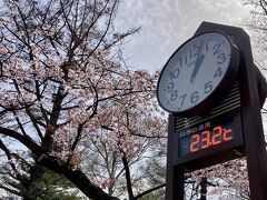 地下鉄東西線「円山公園駅」で降りて、北海道神宮に向かいます。
今日は暖かくなりそうです。