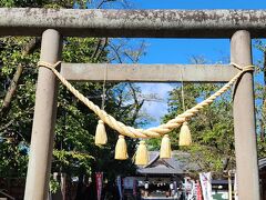 櫓門をくぐりぬけるとほぼ正面にある「真田神社」です
その名の通り、真田氏、仙石氏、松平氏という歴代の上田城主を御祭神としているそうです


