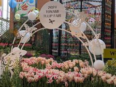 チューリップ四季彩館内もフェア模様
館内ではチューリップ球根栽培の歴史も紹介されています。

カフェや展示会場もありました。