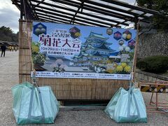 名古屋城に移動して、菊を見に行きます。