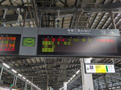 新潟から燕三条、弥彦に向かうには、JR越後線に乗り、途中吉田駅で弥彦線に乗り換えるのですが、なんとも、いじわるな感じで接続が良くないのです。
燕三条と弥彦滞在時間をできるだけ長くしたいので、往路の「新潟→燕三条」間は、新幹線に乗ることにしました。