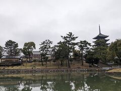 観光客の少ない静寂の中の散歩もなかなかのもの。
雨は止んでるけど、水たまりがあるから歩きにくいのは仕方なし。
