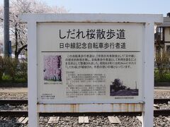 喜多方駅から歩いて１５分。
しだれ桜散歩道へ。

かつて喜多方から国鉄日中線というローカル線がありました。
朝と夕方、夜と列車が1日3本しかなく、「日中に列車のない日中線」なんて言われていました。
国鉄末期に廃止され、その後廃線跡にしだれ桜が植えられて、いまではしだれ桜の名所になりました。