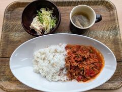 JICA横浜 海外移住資料館にあるレストラン「ポート テラス カフェ」でランチ休憩。
メニューは「パナマ風シュレッドビーフシチュー　ロバビエハ」を注文。