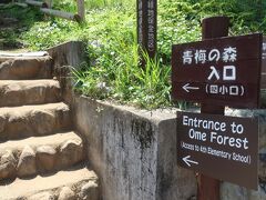 薬王寺から徒歩10分ほどのところにある峠下バス停から10：18発の河辺駅行きのバスに乗り、河辺駅からは10：45発の電車に乗って、10：47、東青梅駅で下車しました。東青梅駅からは一般道を歩いて、11：00、四小口から青梅の森に入ります。