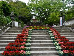 防府天満宮 大石段花回廊 (幸せますウィーク)