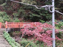 途中には無明橋。大山女坂七不思議のひとつ。この橋を歩きながら話をしていると災いが起こるという伝説があります