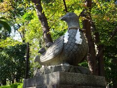 昭和初期、この地にキジが棲みついたことから、氏子の間でキジは氷川さまのお使いと言われ「雉子の氷川さま」と呼ばれているそうです

