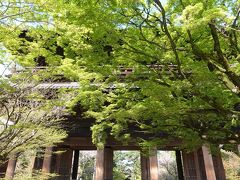インクラインを歩いて、南禅寺に移動。

「南禅寺の三門」です。
ここも紅葉の時期の方が良さそうですね。
青もみじも綺麗です。