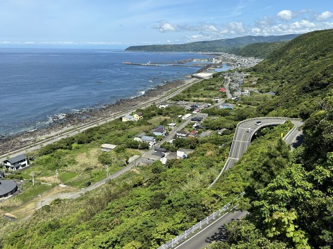 四国八十八ヶ所霊場 ホンキの歩き遍路 ＜高知区切り打ち＞ 11日