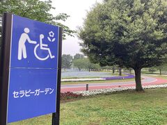 朝7時
秩父に向かう前に、まずは熊谷スポーツ文化公園
お目当てはセラピーガーデンのネモフィラ