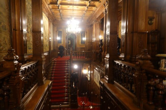 ルーマニアに来たら見学出来る場所は全て見学しようと思っていたので、迷わずオール見学のチケットを購入しました。<br />