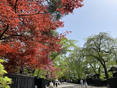 武家屋敷は、桜は、なかったけれど、紅葉がきれい！