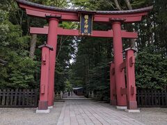 弥彦温泉街や土産物店が並ぶ門前町が終わると、彌彦神社の「一の鳥居」が見えてきました。
「おやひこさま」と呼ばれる、越後一宮です。
おじゃまいたします。
