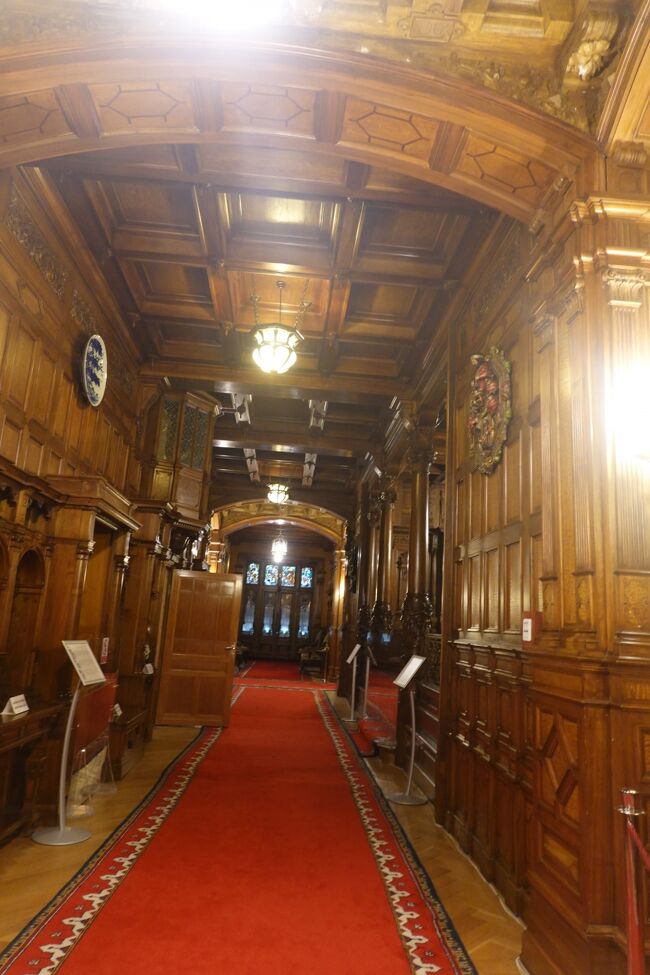 もうすぐ見学終わっちゃうみたい。