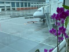 ほぼ遅延なく那覇空港へ到着。
沖縄はあまり天気が良くない予報通り…。