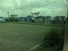 弥彦駅から16:10発の電車に乗り、吉田駅乗り換えで、新潟駅へ。

弥彦駅の次の矢作駅を過ぎてすぐ、車窓から、彌彦神社大鳥居がチラリ見えました。
日本一の大きい大鳥居だと云われてます。
そばで見ると「わぁ～」という大きさでしょうね。
この大きさを確認したい人は、レンタカー移動が便利です。