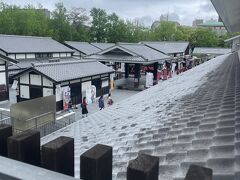 熊本城 桜の馬場 桜の小路