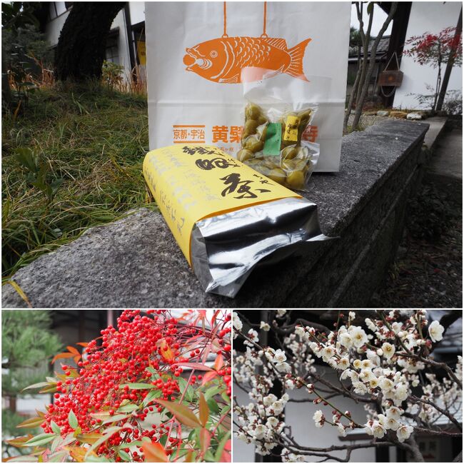 売店で以前も買った「鐵現茶(てつげんちゃ)」を再度購入。<br />十六茶のように香ばしく、彫ってでもアイスでも美味しく頂けます。<br /><br />また季節限定のようですが「ヒョウタンのしば漬け」も売っていたので買ってみました。<br /><br />参拝客も少なく静かにゆっくりと過ごせる貴重なお寺ですね。