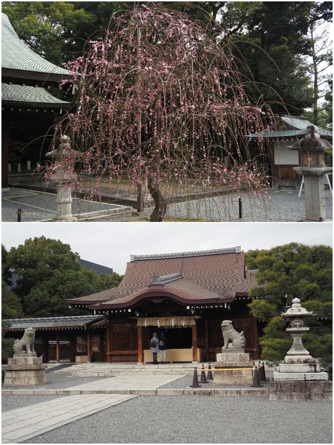 まずは本殿でお参り。